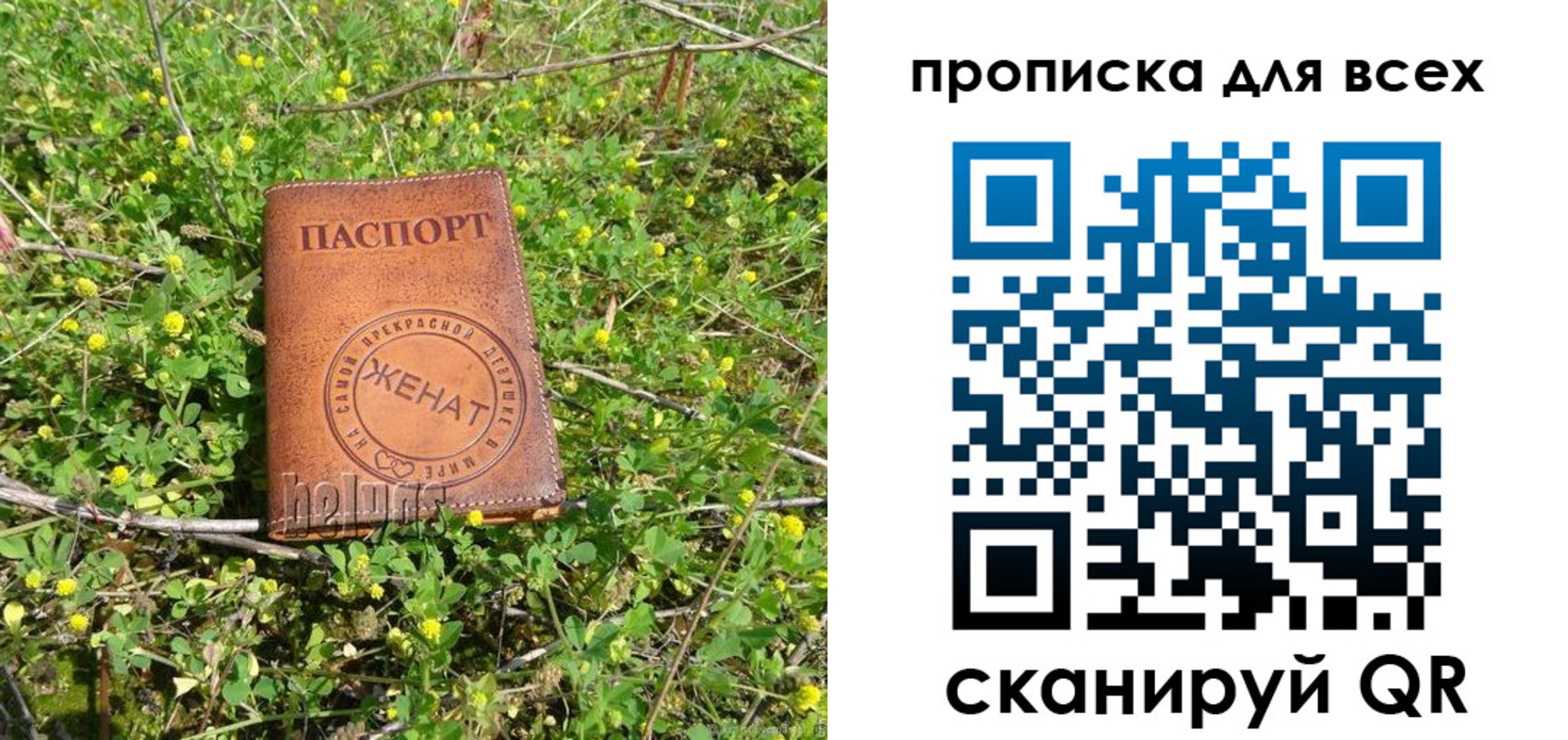 прописка поиск в Пестово